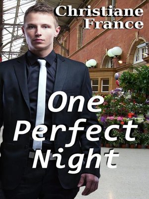 cover image of One Perfect Night